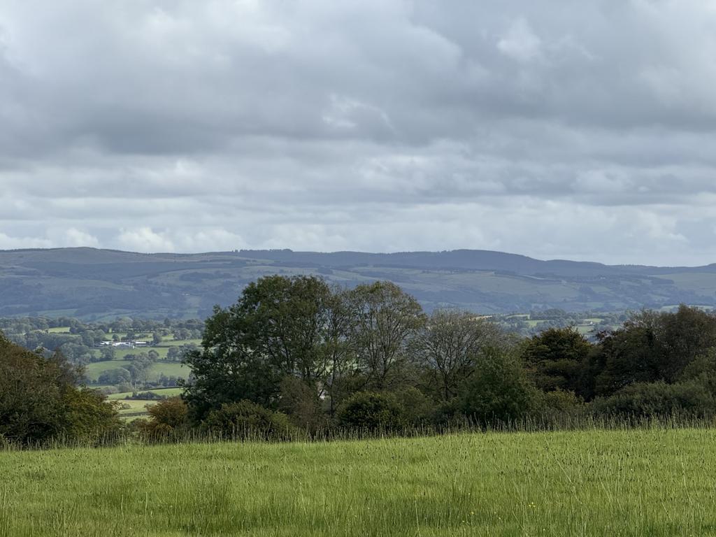 The Land