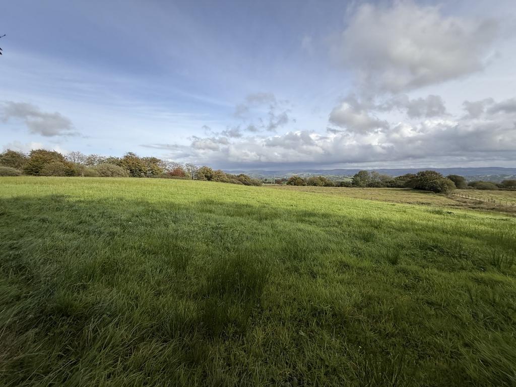 The Land