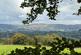 Penuwch, Tregaron, SY25 photo 5