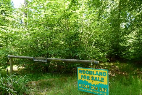 undefined, Wicumun Wood, Stokenchurch HP14