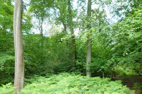 undefined, Wicumun Wood, Stokenchurch HP14