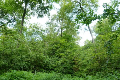undefined, Wicumun Wood, Stokenchurch HP14