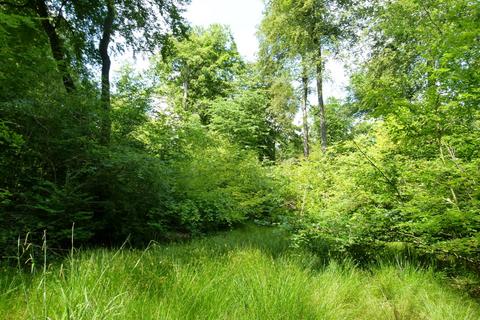 undefined, Wicumun Wood, Stokenchurch HP14