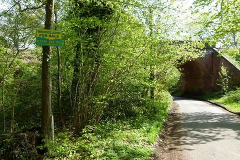 undefined, Witley Manor Wood, near Godalming GU8