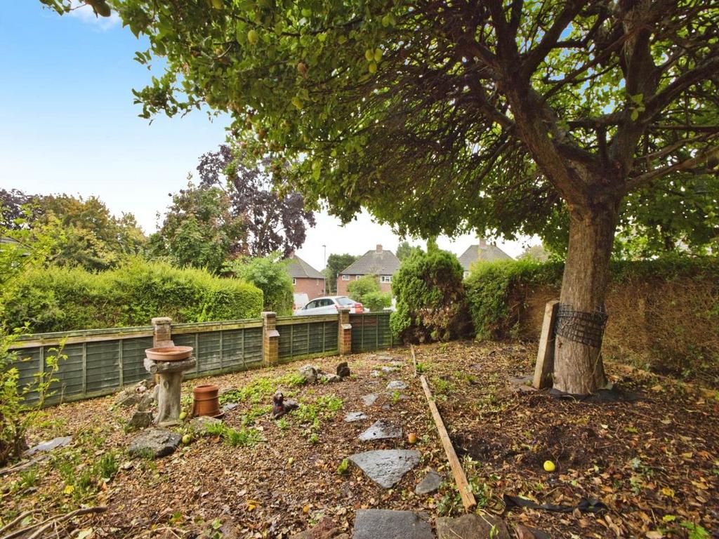 Garden (2)