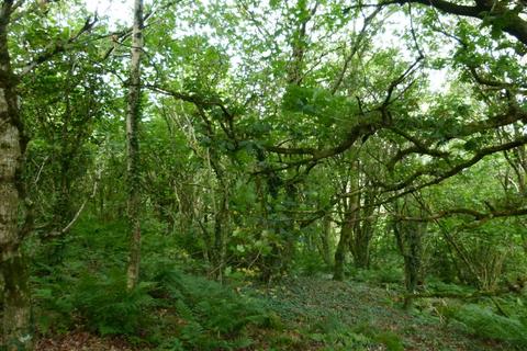 undefined, Coed y Milwyr, nr Rhydlewis, Llandysul SA44