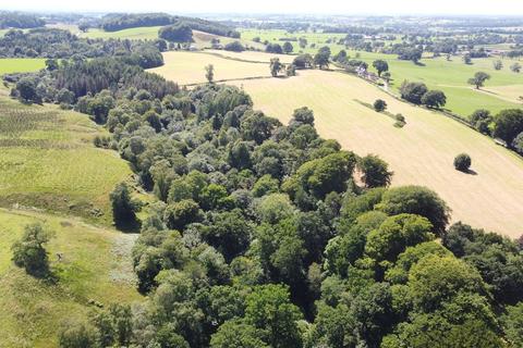 undefined, Quarrybeck Wood, Brampton, Cumbria, CA8