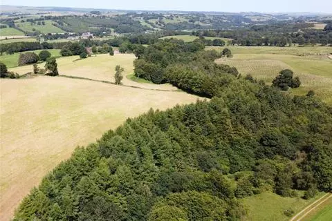 Land for sale - View 2