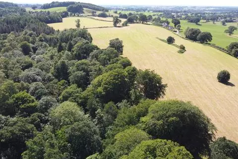 Land for sale - View 5