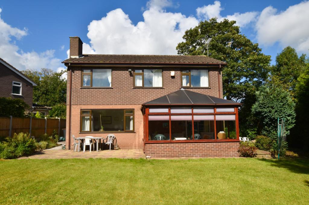 Rear Aspect