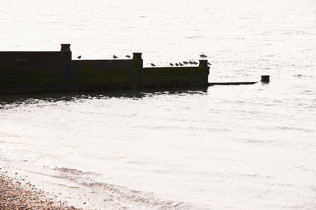 Island Wall, Whitstable