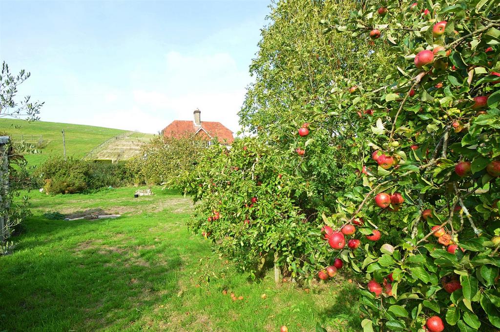 Resized Orchard6.jpg