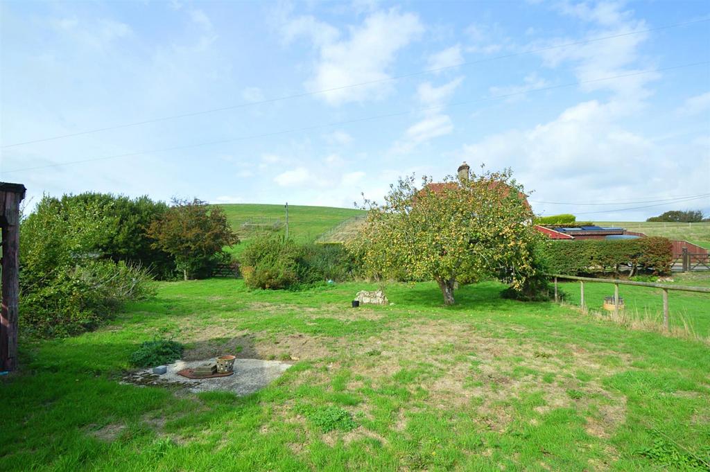 Resized Orchard1.jpg