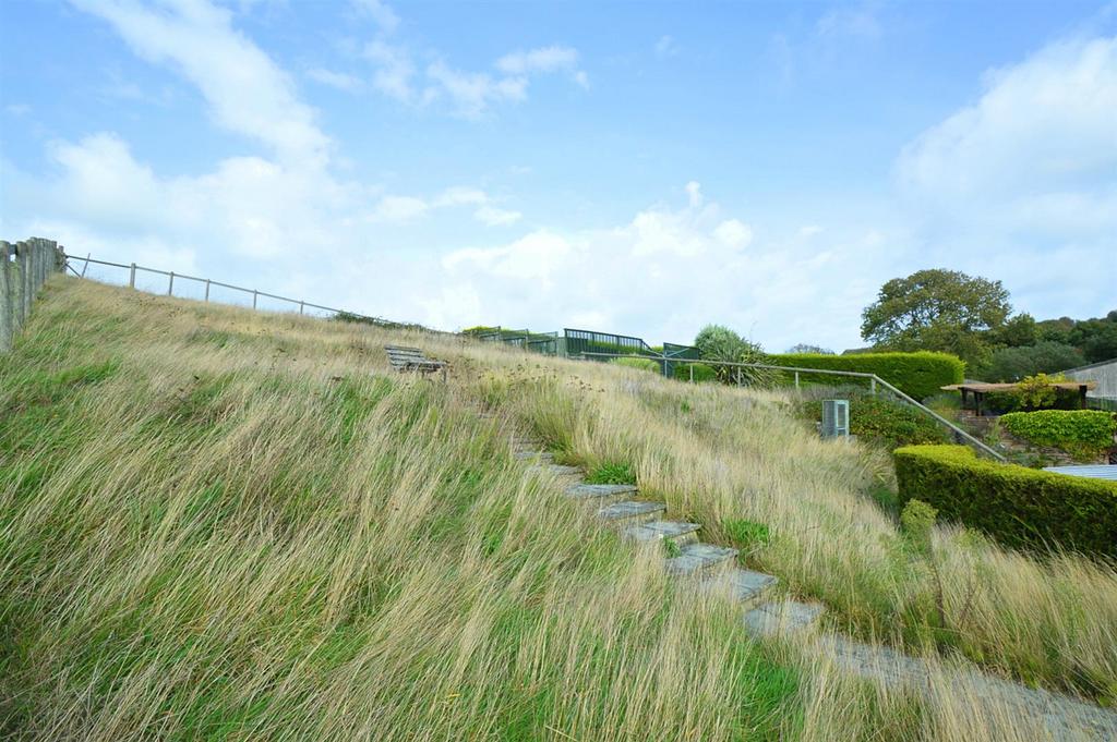 Resized Garden2.jpg