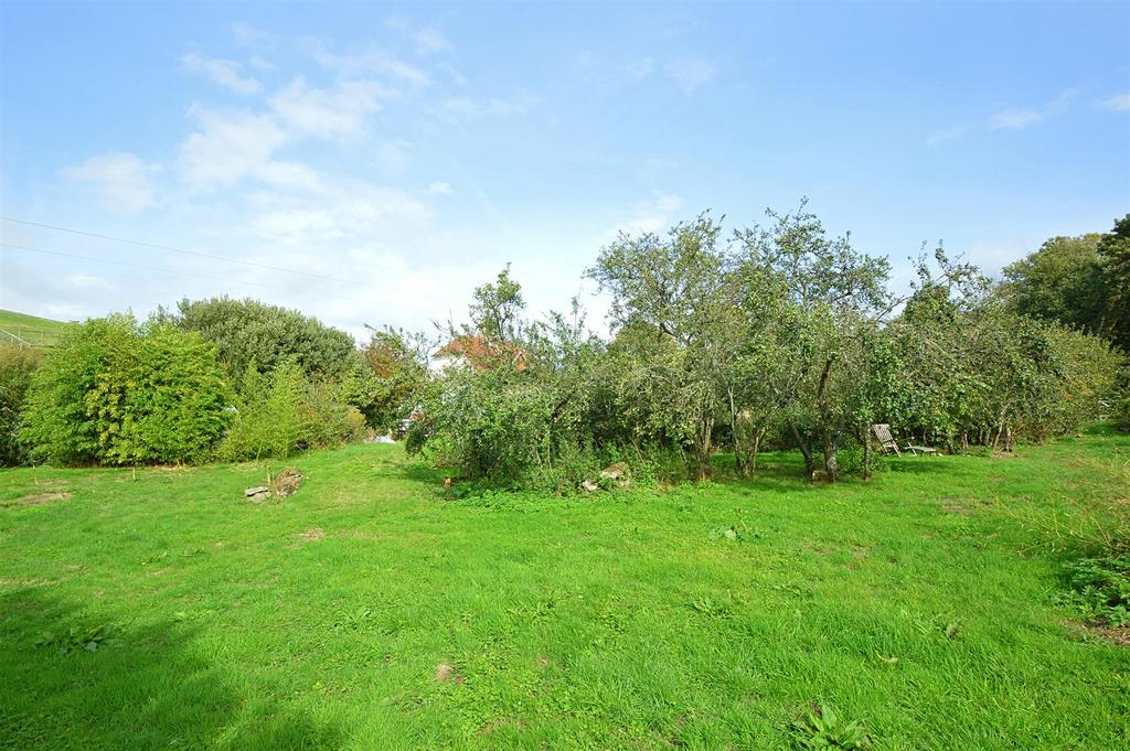 Resized Orchard3.jpg