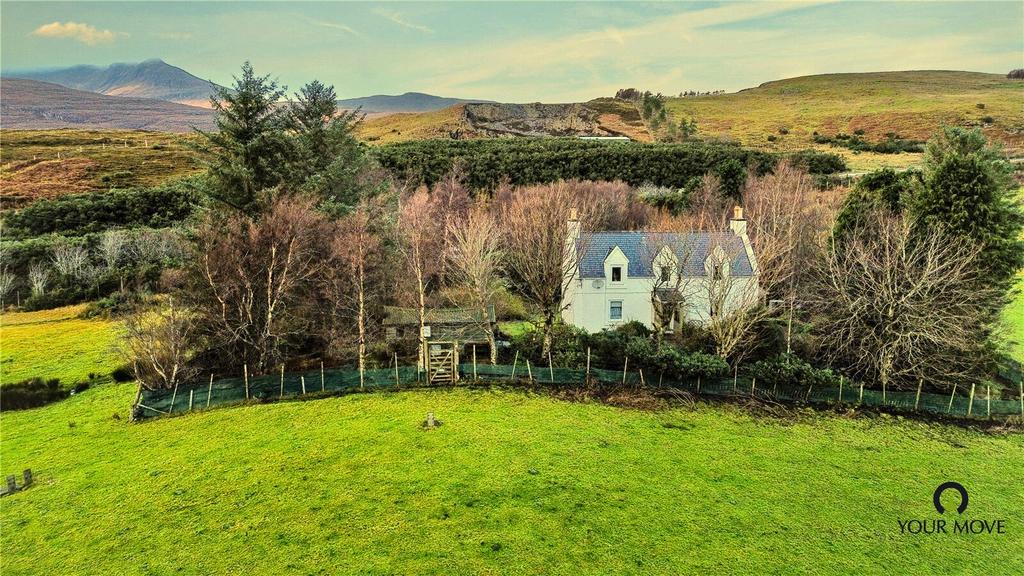 The Property