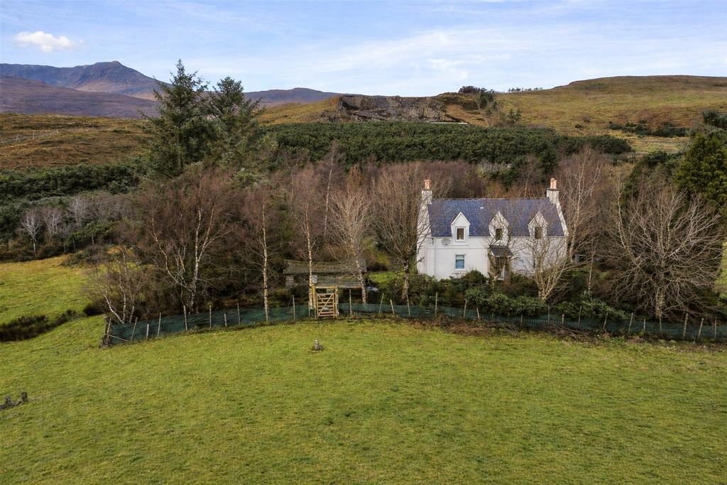 The Property