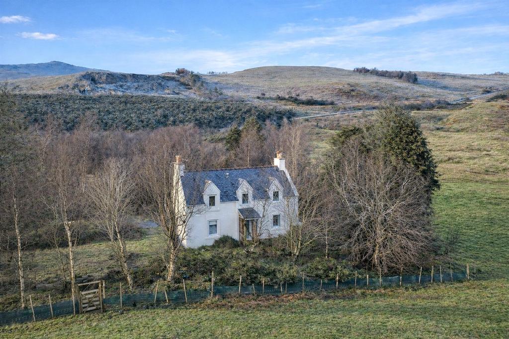 The Property