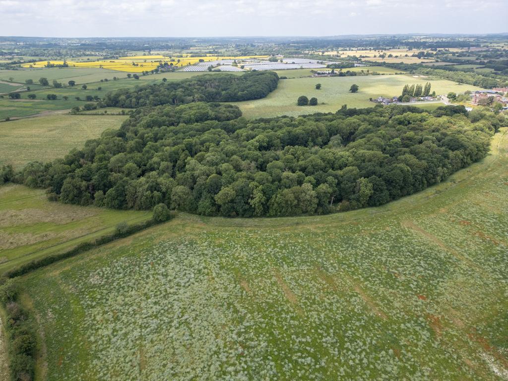 Land