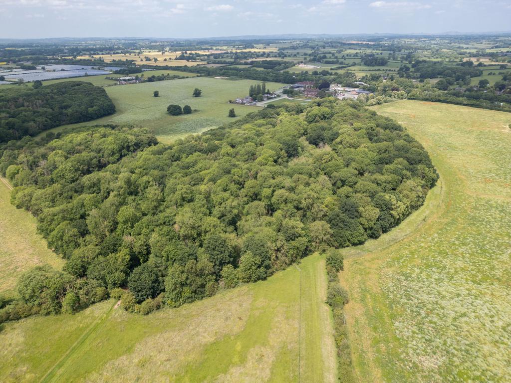 Land - Lot 1