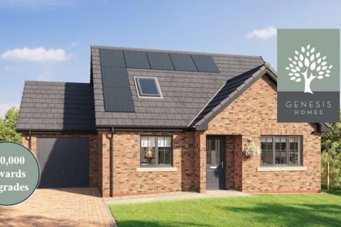 undefined, Derwent Rise, Seaton CA14