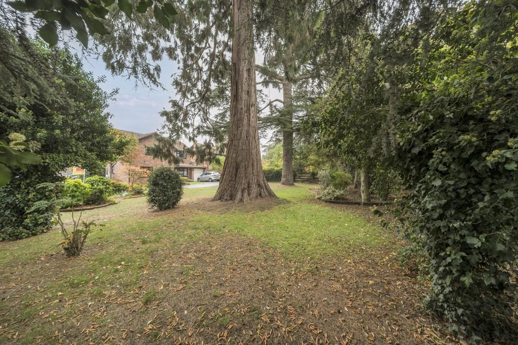 Photos
