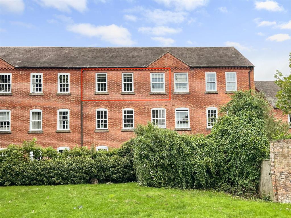 Rear aspect