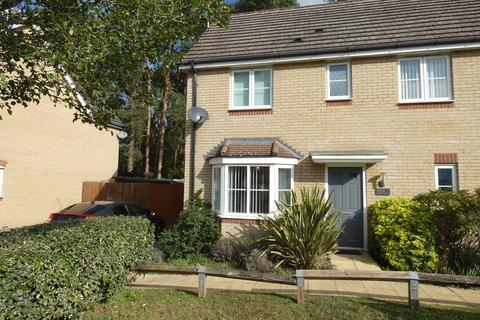 Coney Close, Thetford, IP24 3PE
