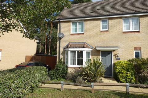 4 bedroom semi-detached house for sale, Coney Close, Thetford, IP24 3PE