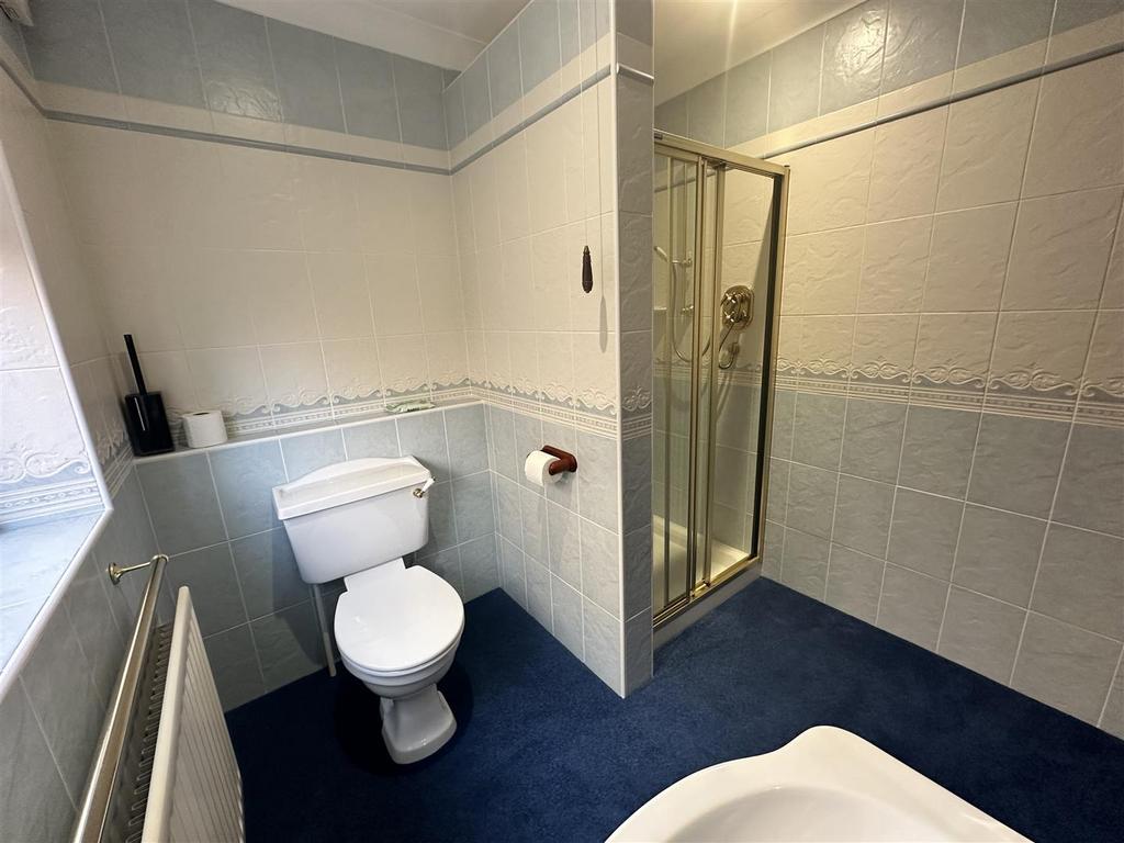 IMG 0498.jpg