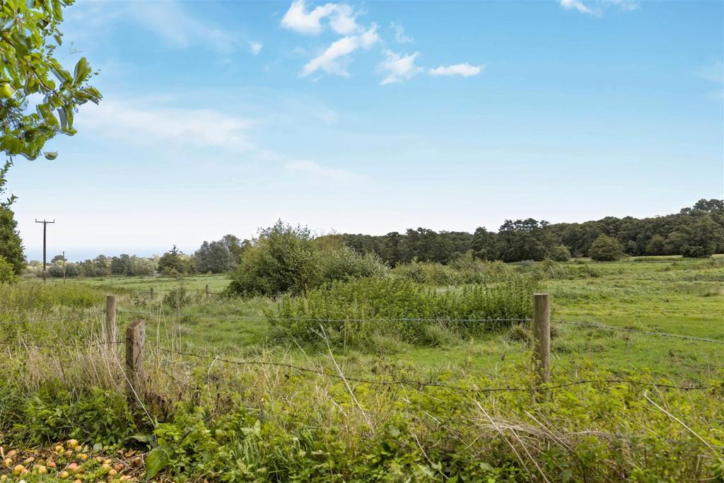 Mill Farm 5.jpg
