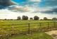 Additional image 3 of Meadowcroft, Langthorne, Bedale