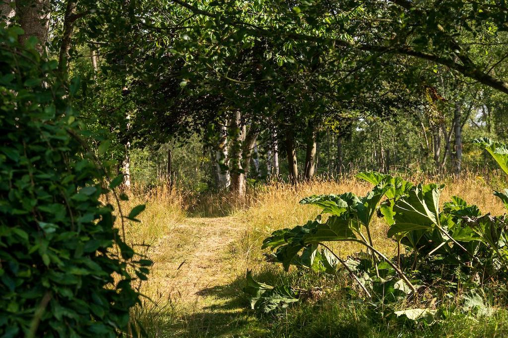 Woodland Walkways
