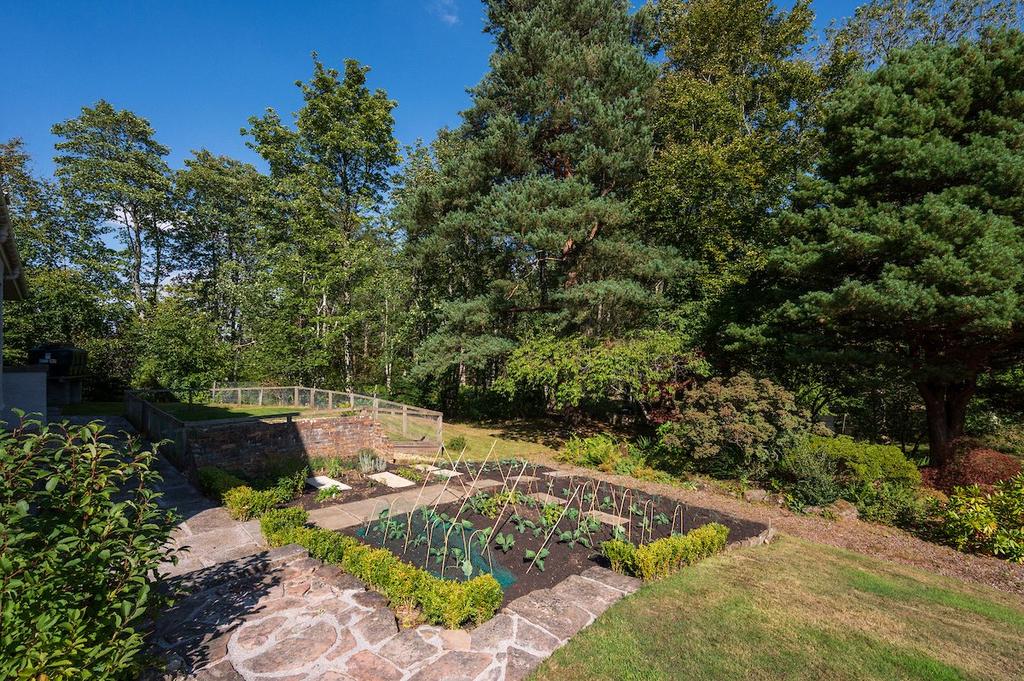 Vegetable Patch