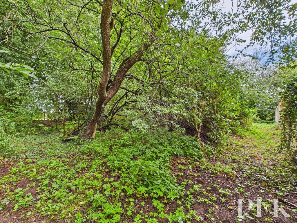 Woodland area