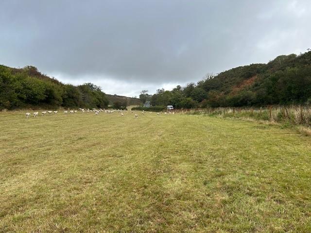 Image 2 -Bryn Crin land