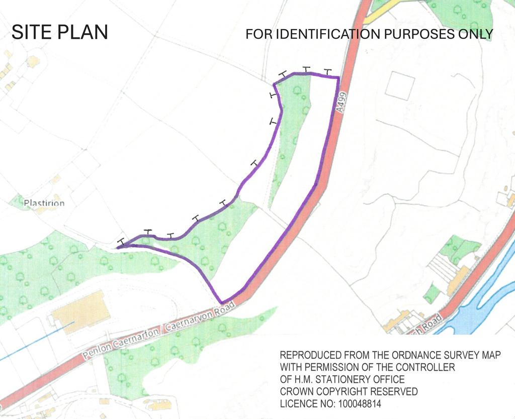 SITE PLAN- Bryn Crin Land