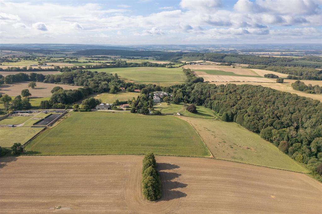 Treetops Aerial-5.jpg