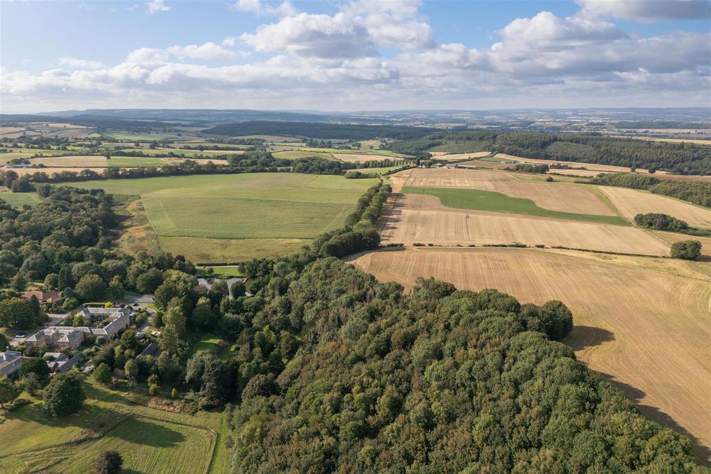 Treetops Aerial-4.jpg
