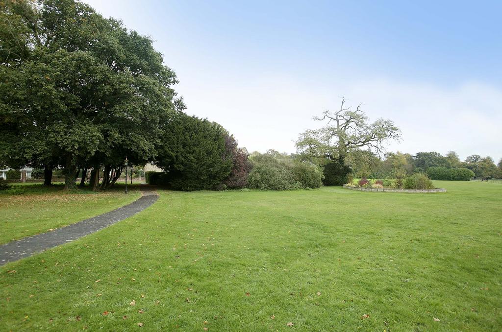 Communal Gardens
