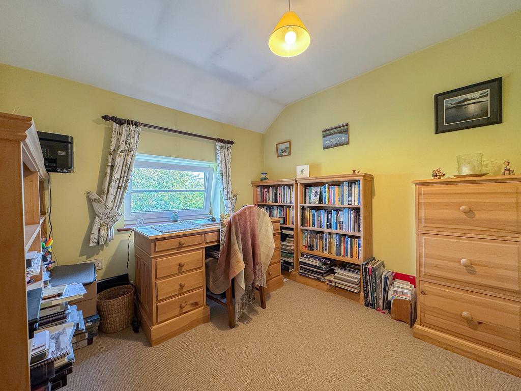Study Bed 5