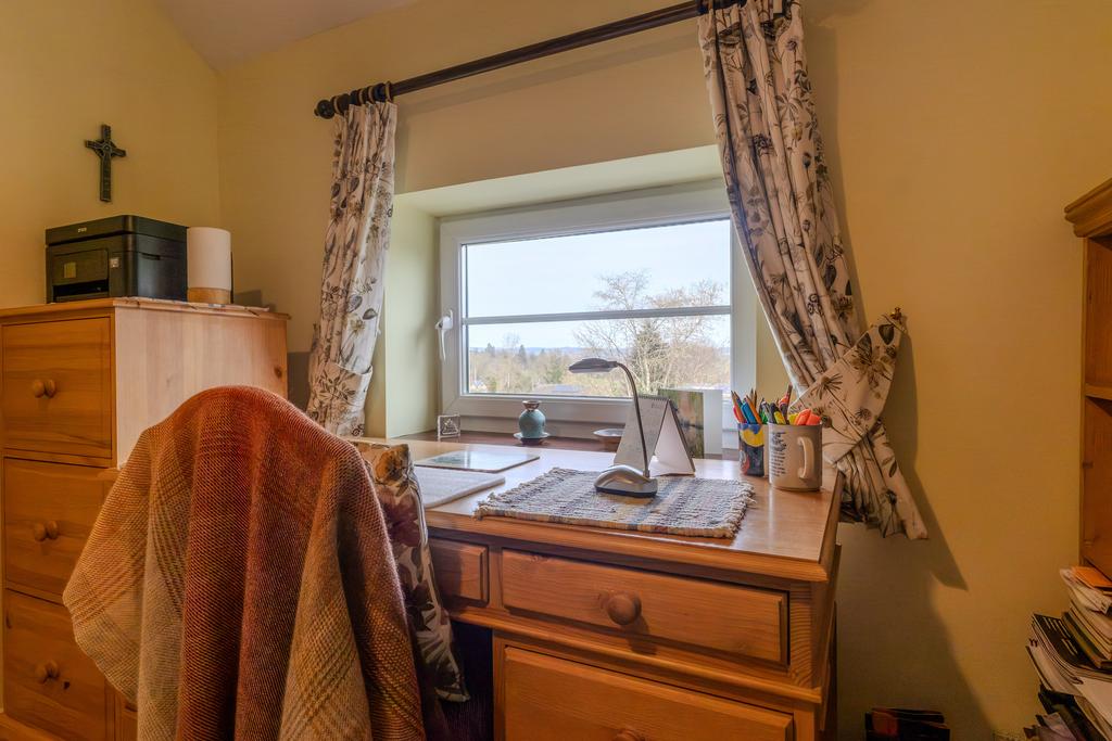 Study View
