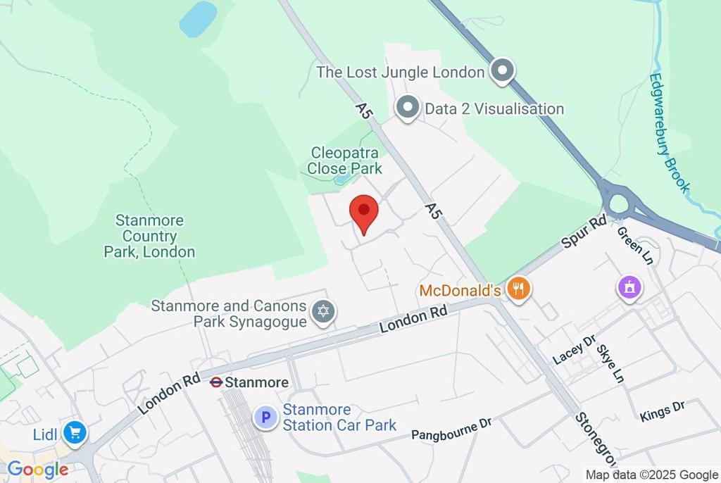 Google Maps Image