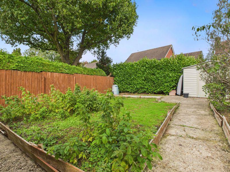 Rear vegetable patch