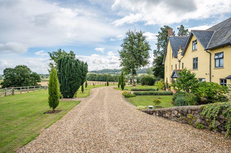 Driveway and Garden
