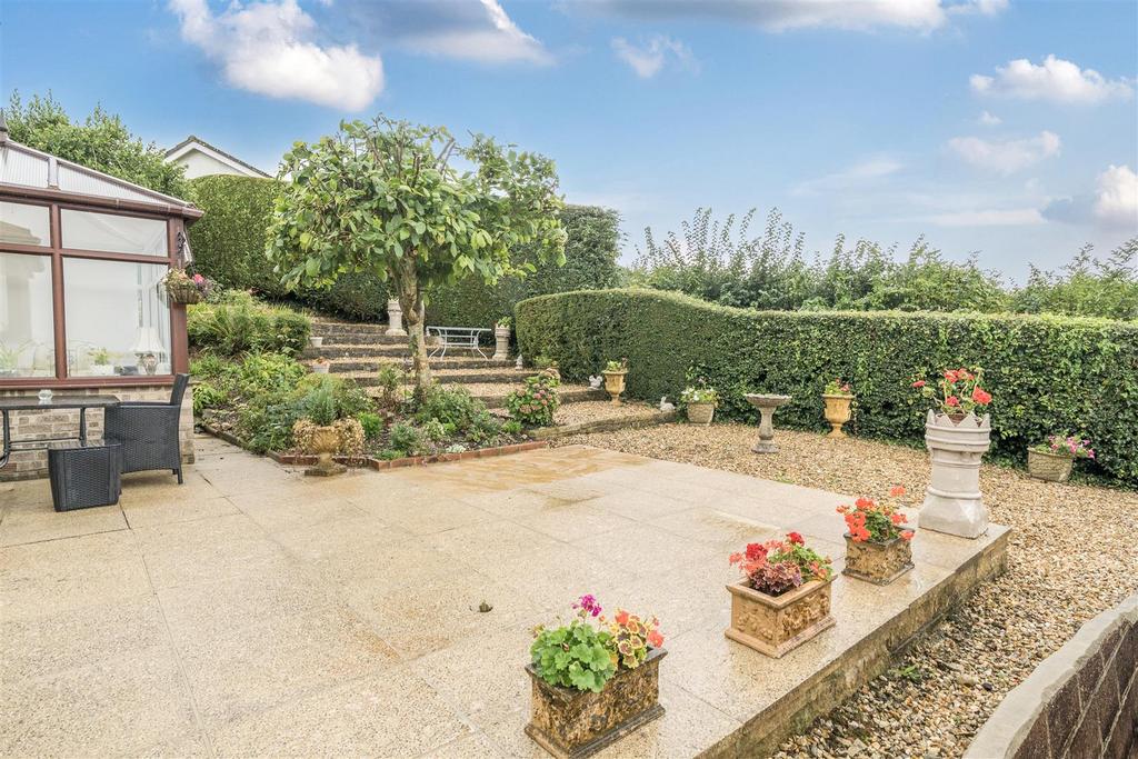 Back garden
