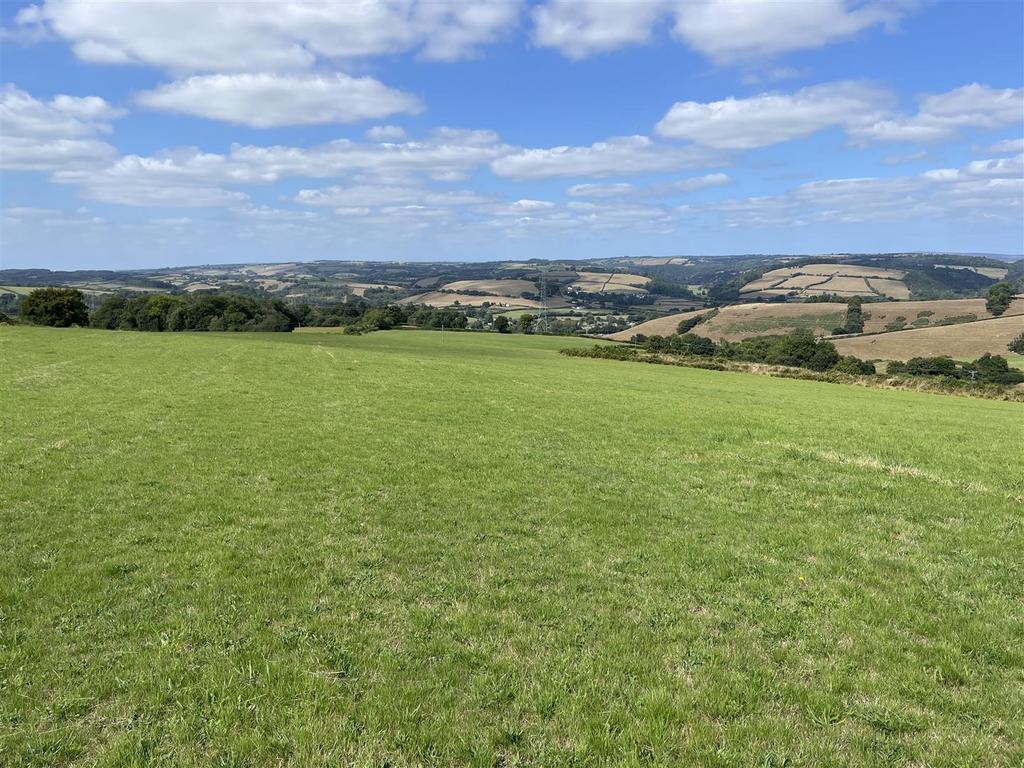 The land