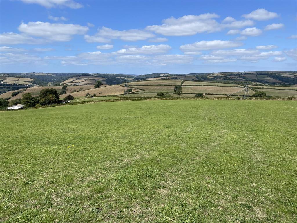 The land