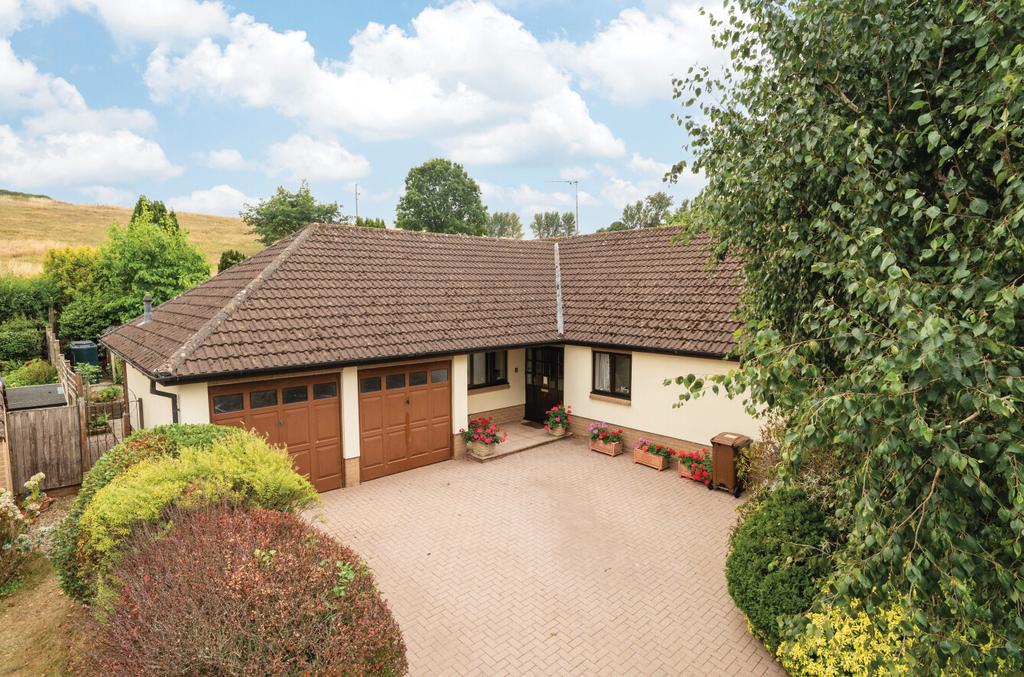 2 Bishops Rise
