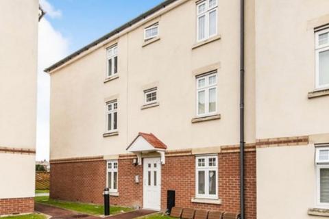 undefined, Florian Mews, Sunderland, SR4